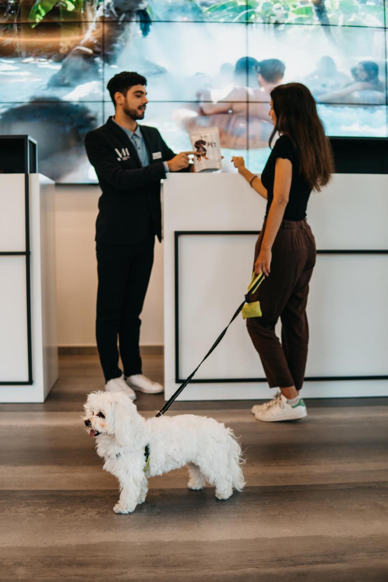 J44 Lifestyle Hotel Lido di Jesolo Esterno foto Dog at the reception of a hotel